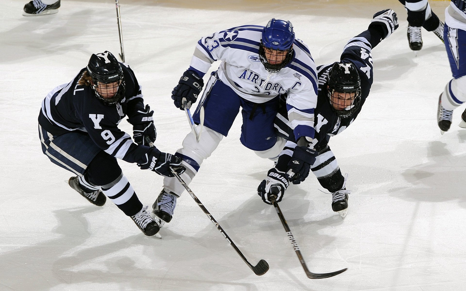 人才市场：电竞与体育行业跨界人才的培养与流动趋势，电竞人才的发展前景