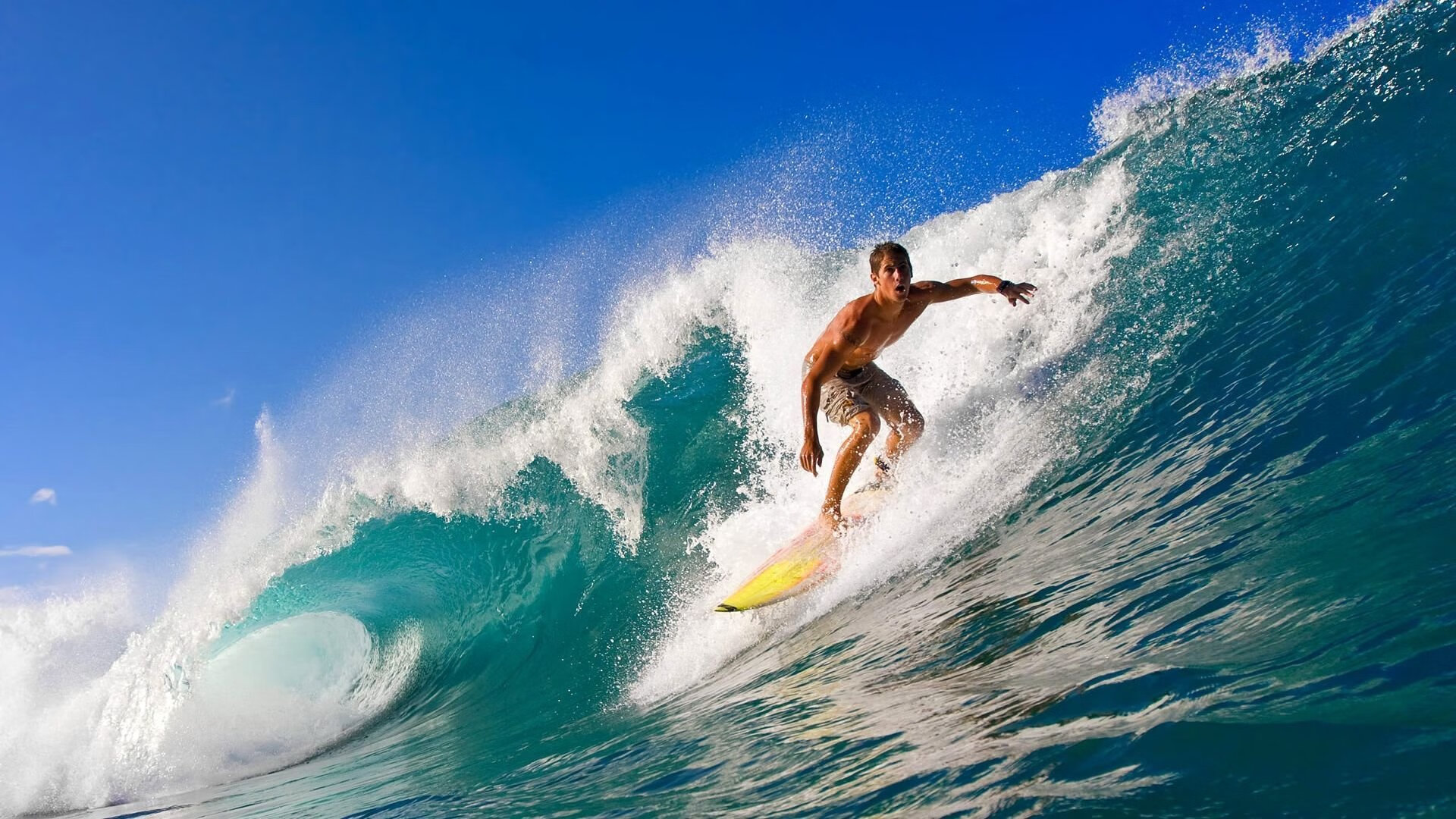 从替补到主力的励志故事,替补变成主力